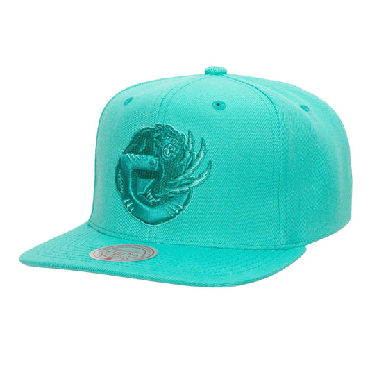Mitchell & Ness Men's NBA Vancouver Grizzlies Monochromatic Snapback
