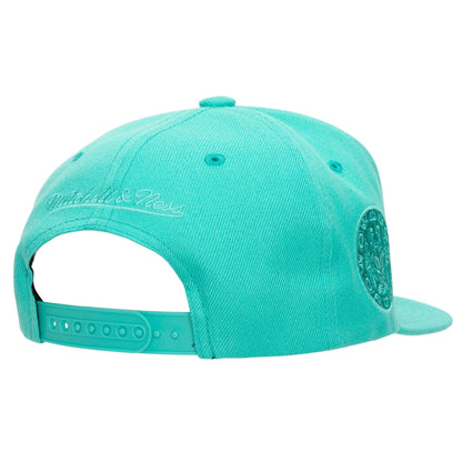 Mitchell & Ness Men's NBA Vancouver Grizzlies Monochromatic Snapback