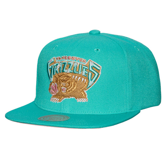Mitchell & Ness Men's NBA Pastel Snapback Hwc Grizzlies Snapback Caps