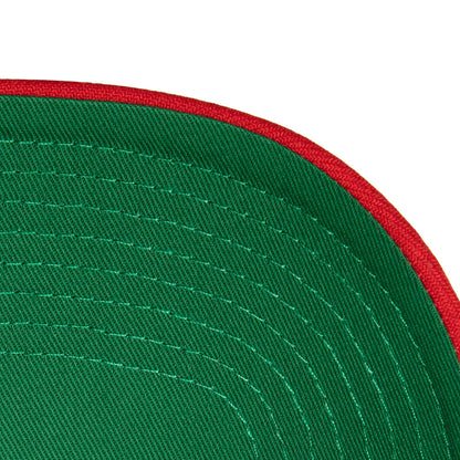 Mitchell & Ness Men's NBA Boom Text Pro Snapback Hwc Raptors Snapback Caps