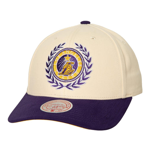 Mitchell & Ness Men's NBA Collegiate Pro Snapback Lakers Snapback Caps