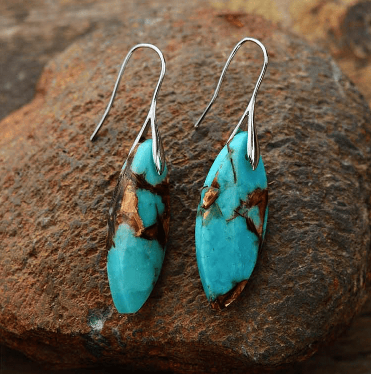 Brown / Silver-