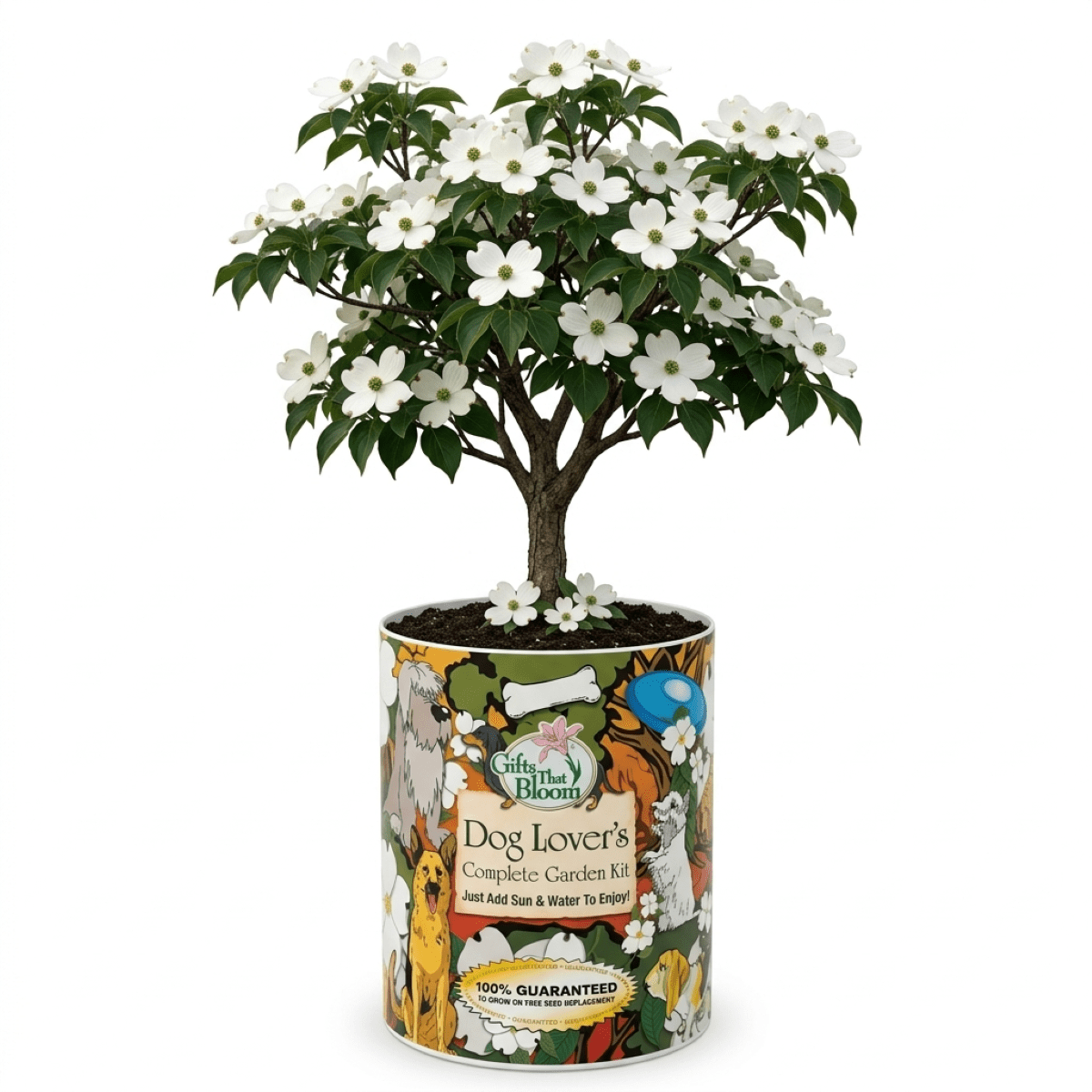White-