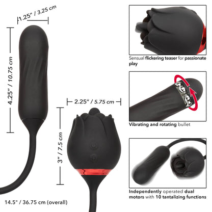 Black-