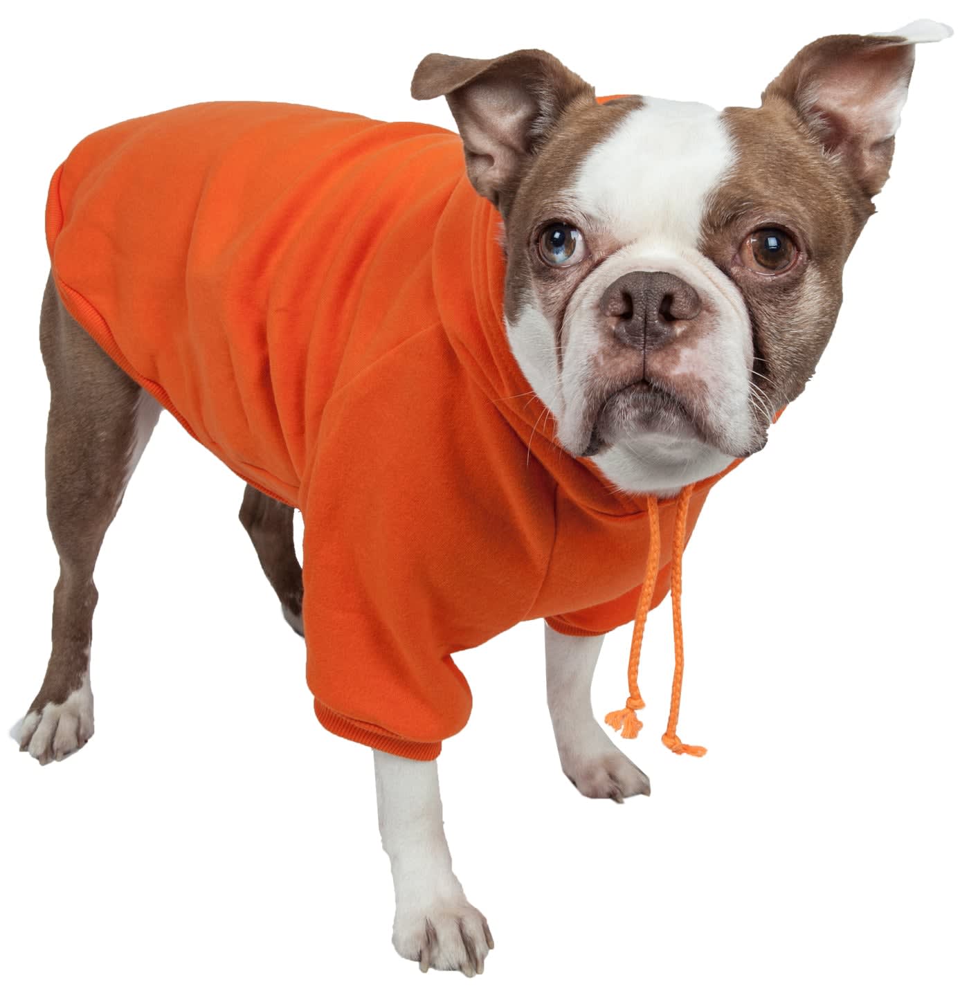 Orange-