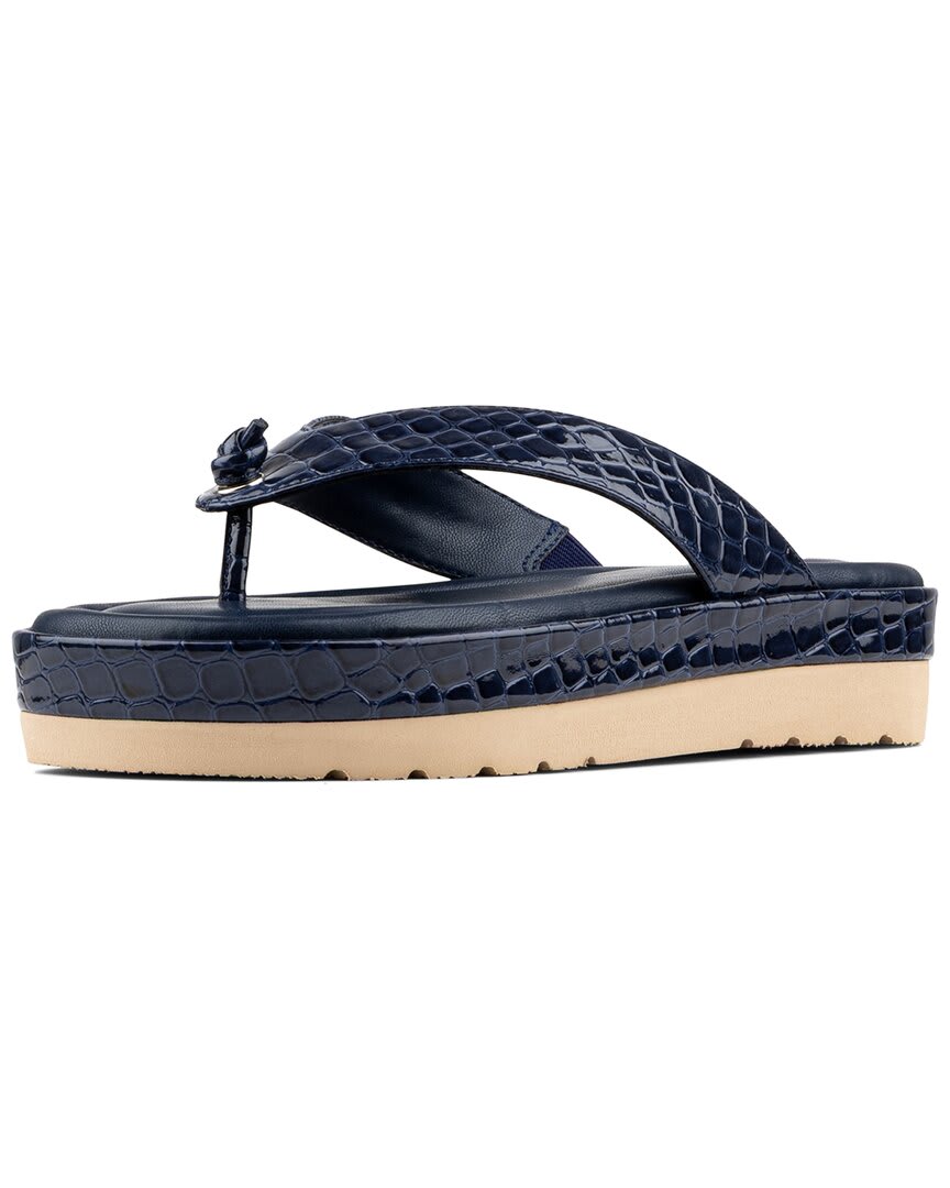 NVY NAVY-