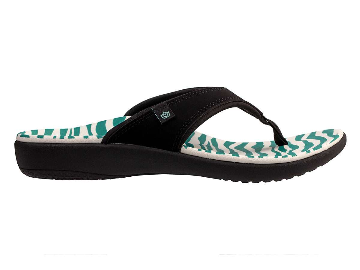TEAL ZEBRA -