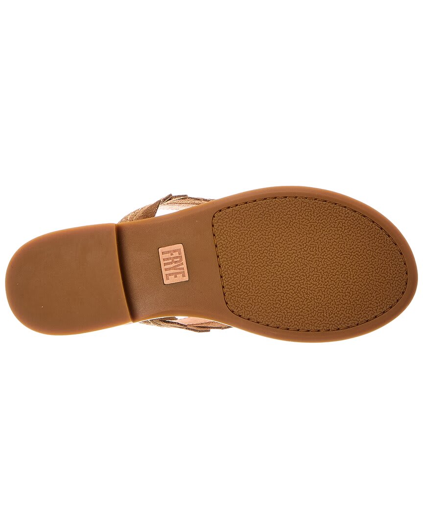 ALMO-