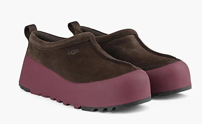 Dusted Cocoa / Wild Grape-