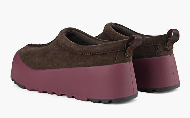 Dusted Cocoa / Wild Grape-