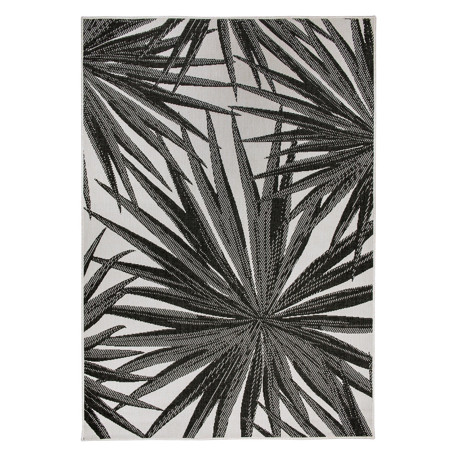 Black-