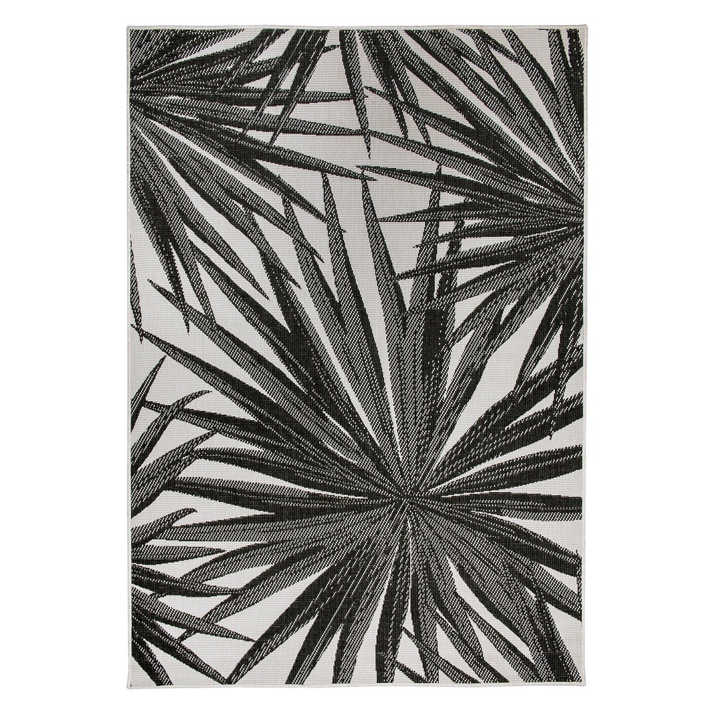 Black-