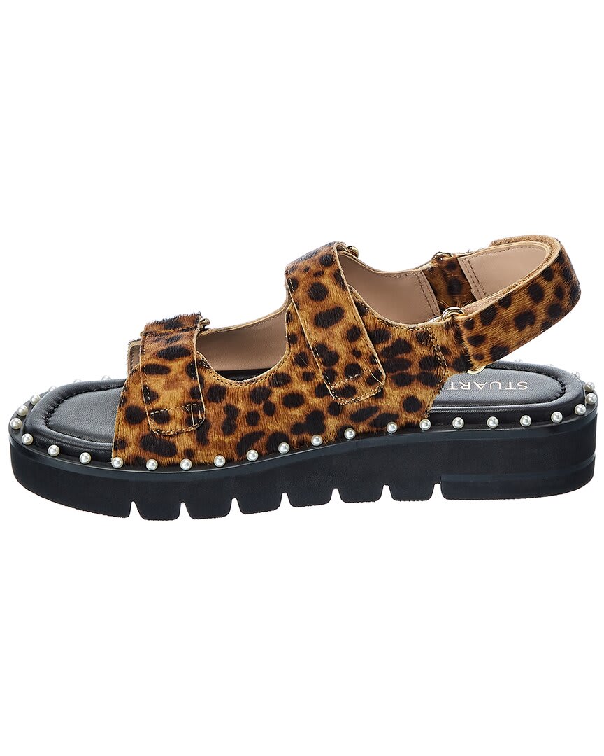 Q1R cheetahhaircalf-