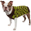 Choco Brown and Neon Green