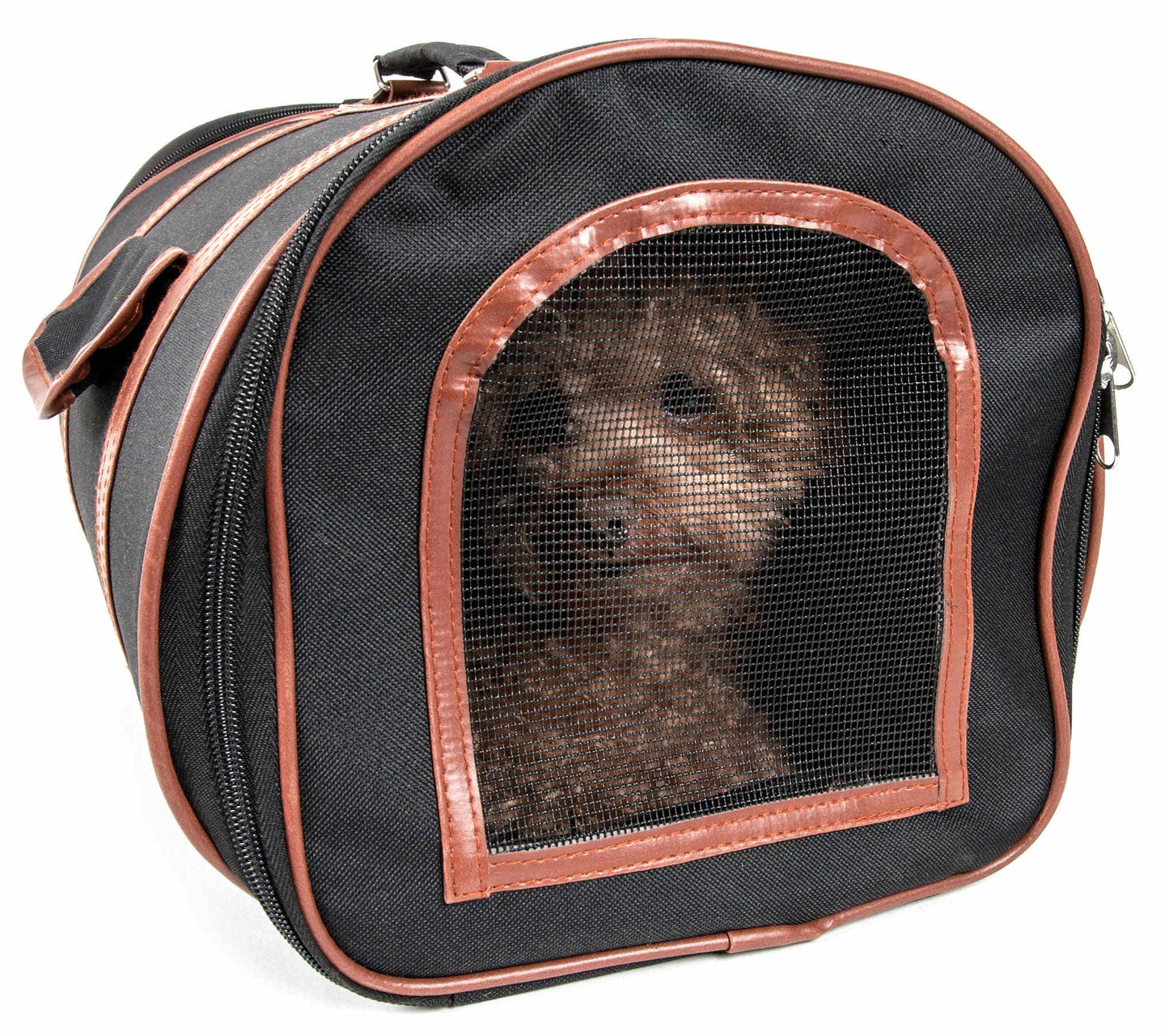 Black/Brown-