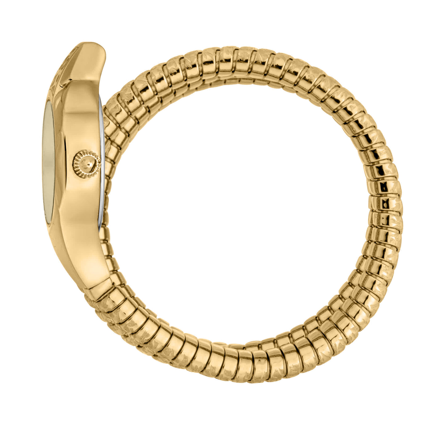 Jc1l271m0025 Just Cavalli Women’s Gold Stainless Steel Snake Watch with Champagne Dial