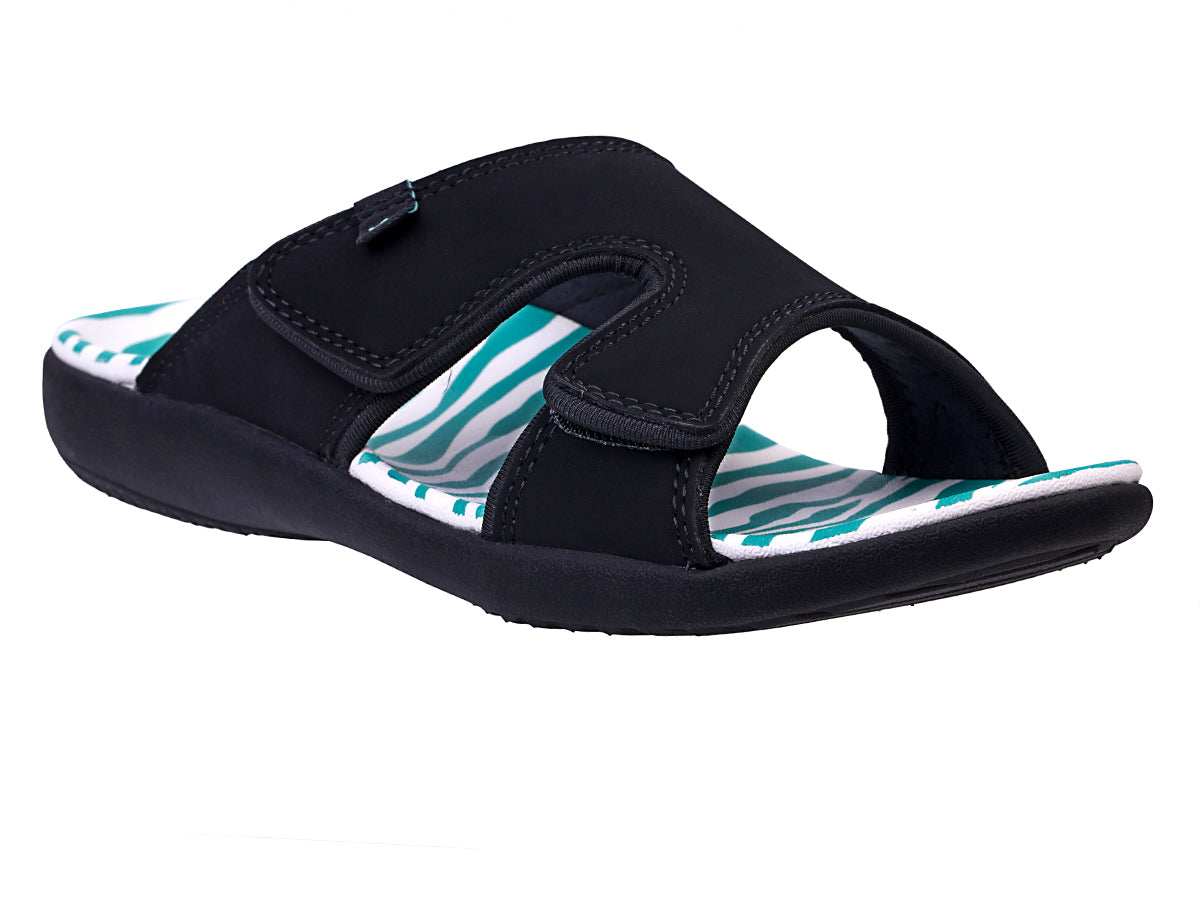 TEAL ZEBRA -