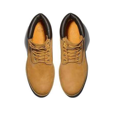 TIMBERLAND 6 in Premium WP Boot