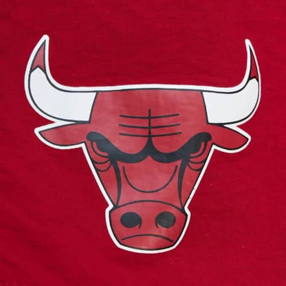 Mitchell & Ness Men's NBA Team Heritage Woven Shorts Bulls