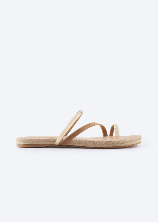Camel-