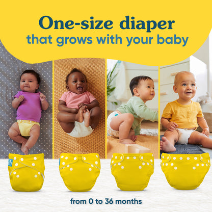 Charlie Banana Reusable Cloth Diapers: One Size with Fleece (Pack of 3)