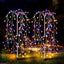 Multi-Color Light