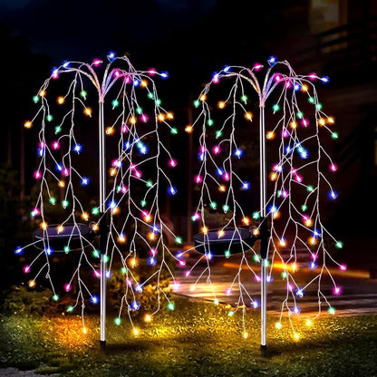 Multicolor Light-