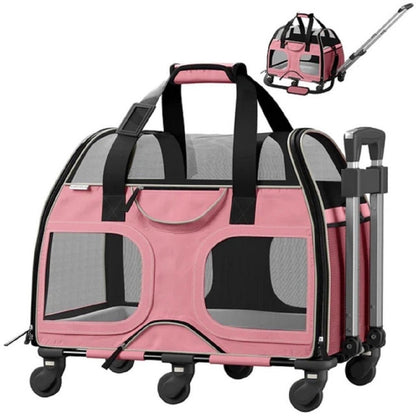 Pink and White-