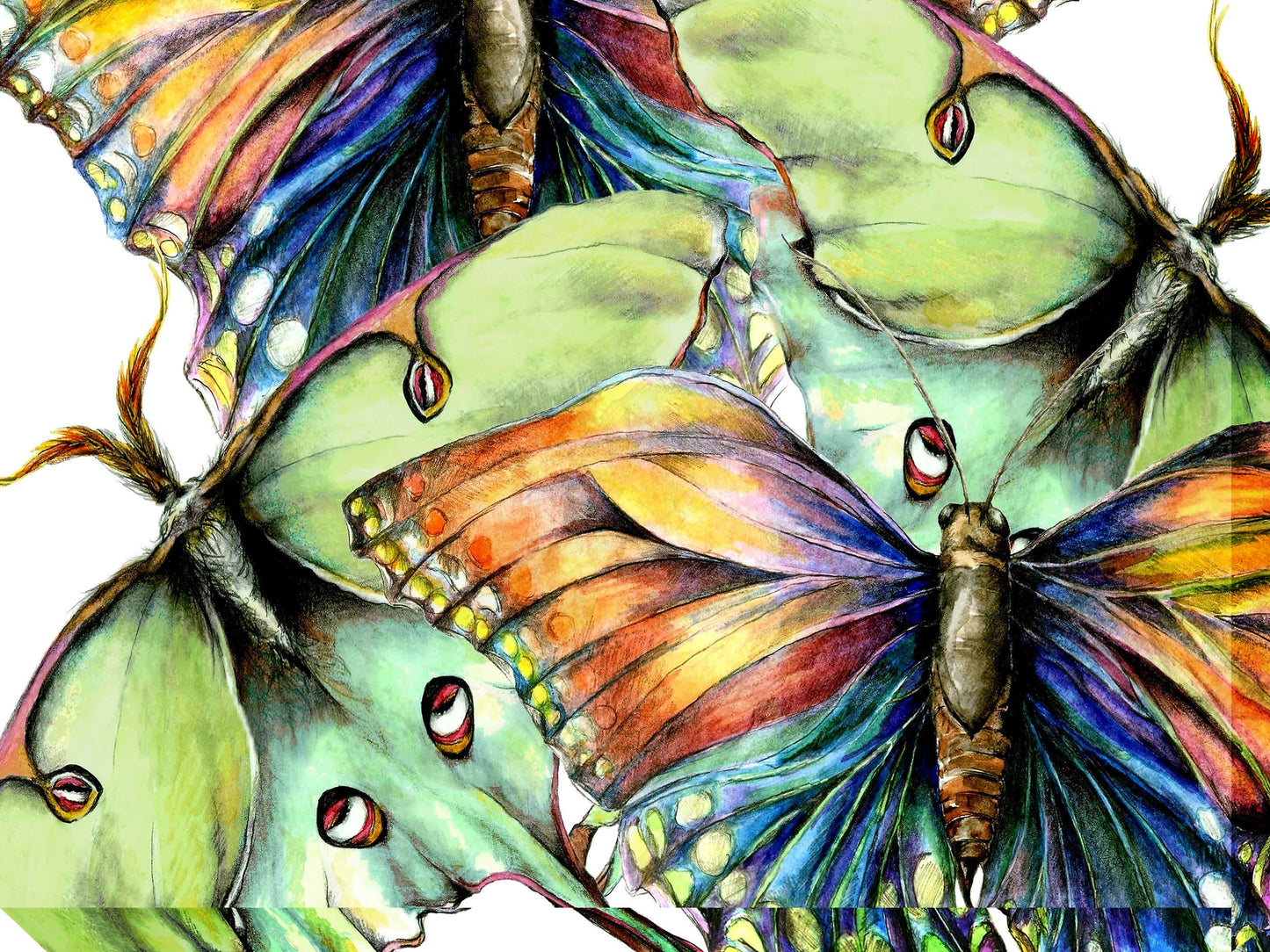 Pastel Butterfly #2 All Weather Outdoor Art