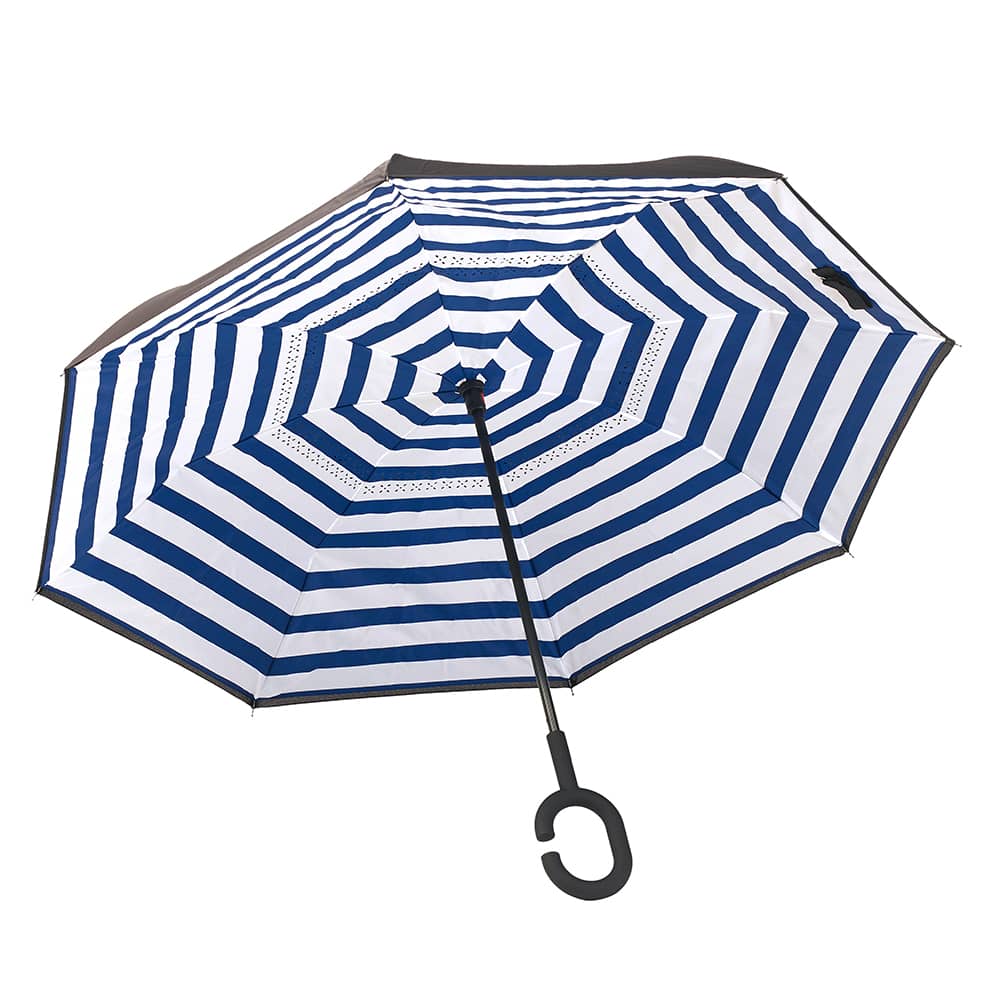 BlueStripe-