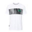 White with Black Zebra