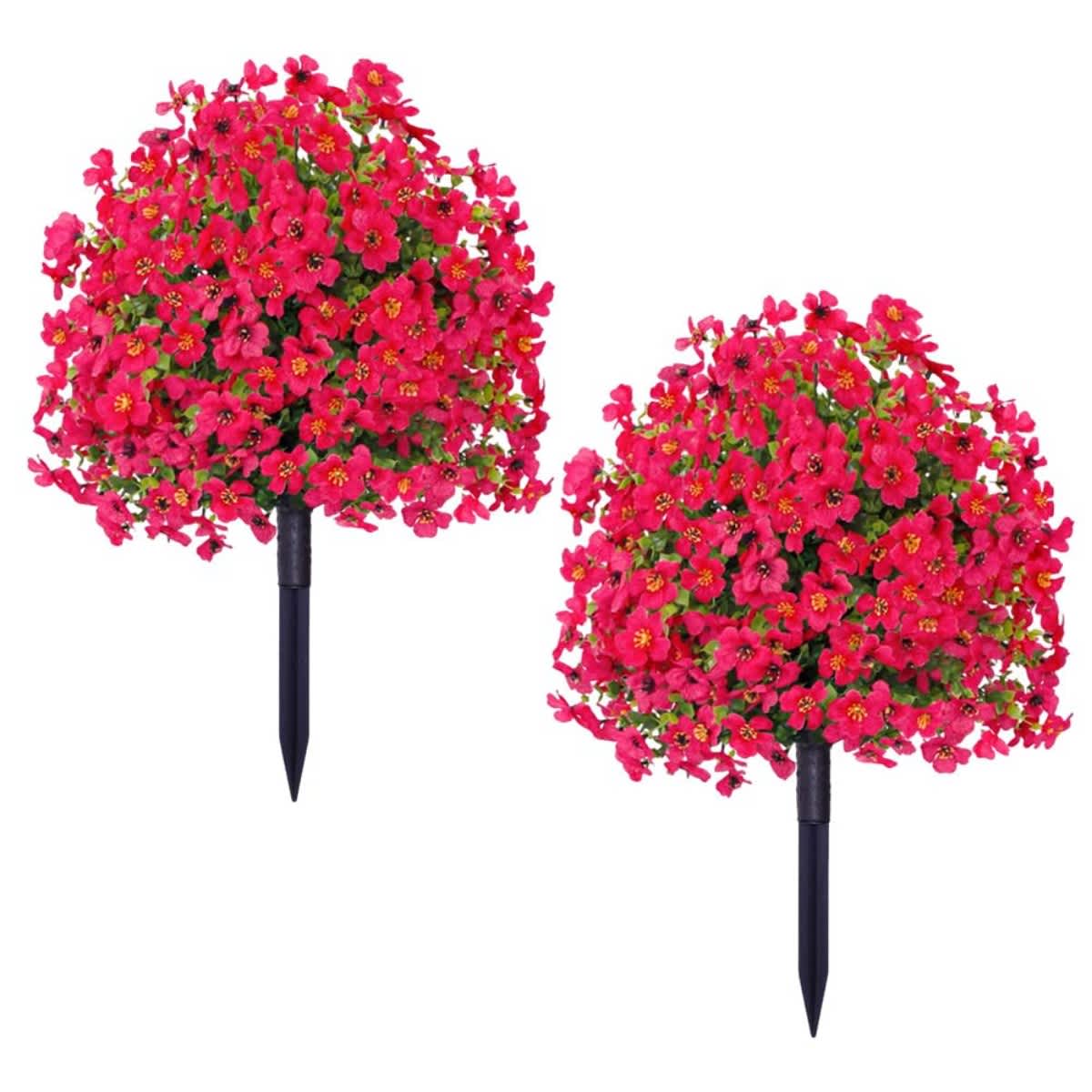 Rose Red-