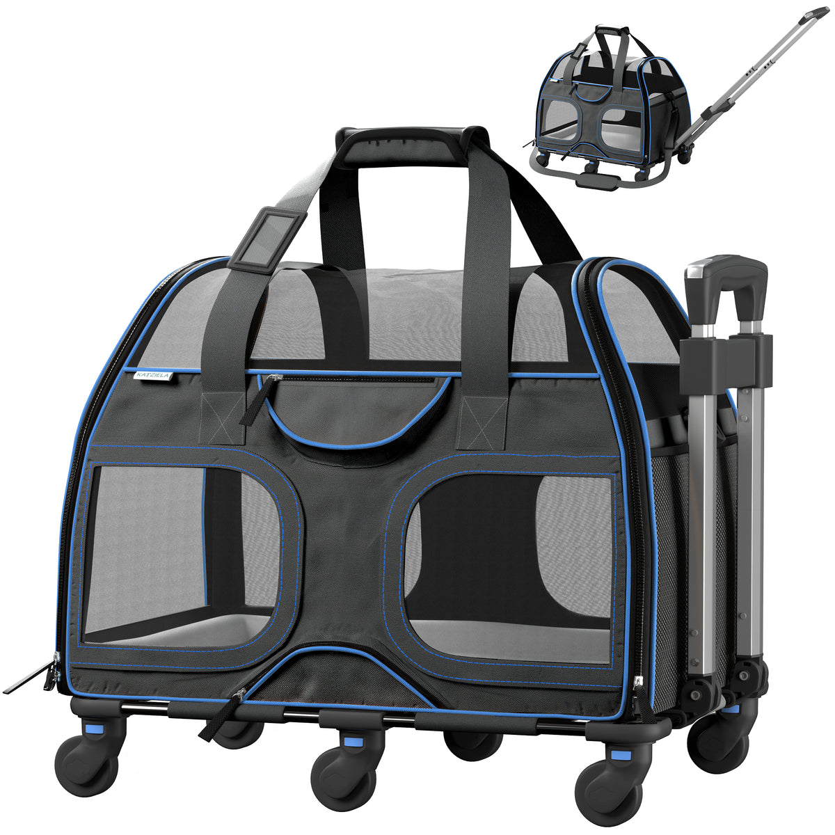 Black and Blue-