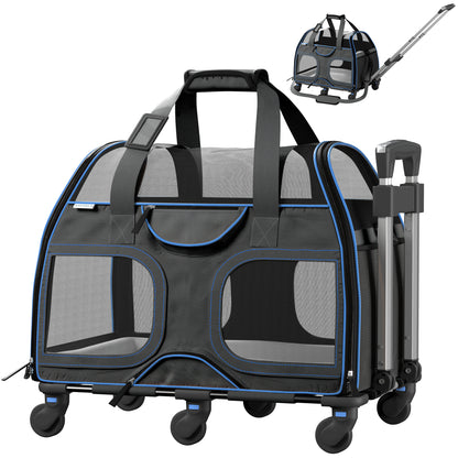 Black and Blue-