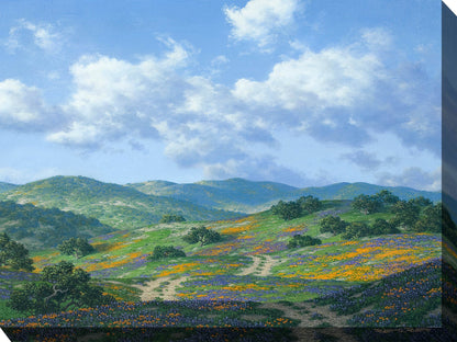 Take the Back Road All Weather Outdoor Art