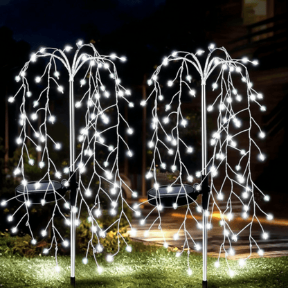 White Light-