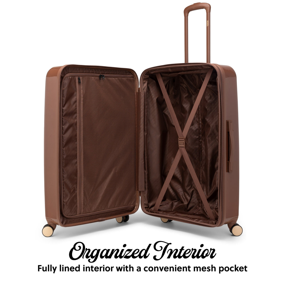 Brown Eyeflight-