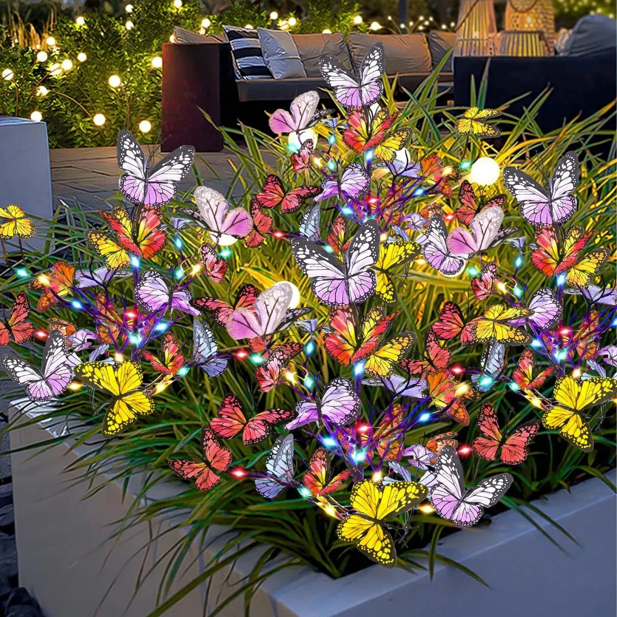 Colorful Light-