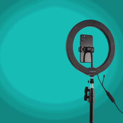 Video Conference Floor Lamp