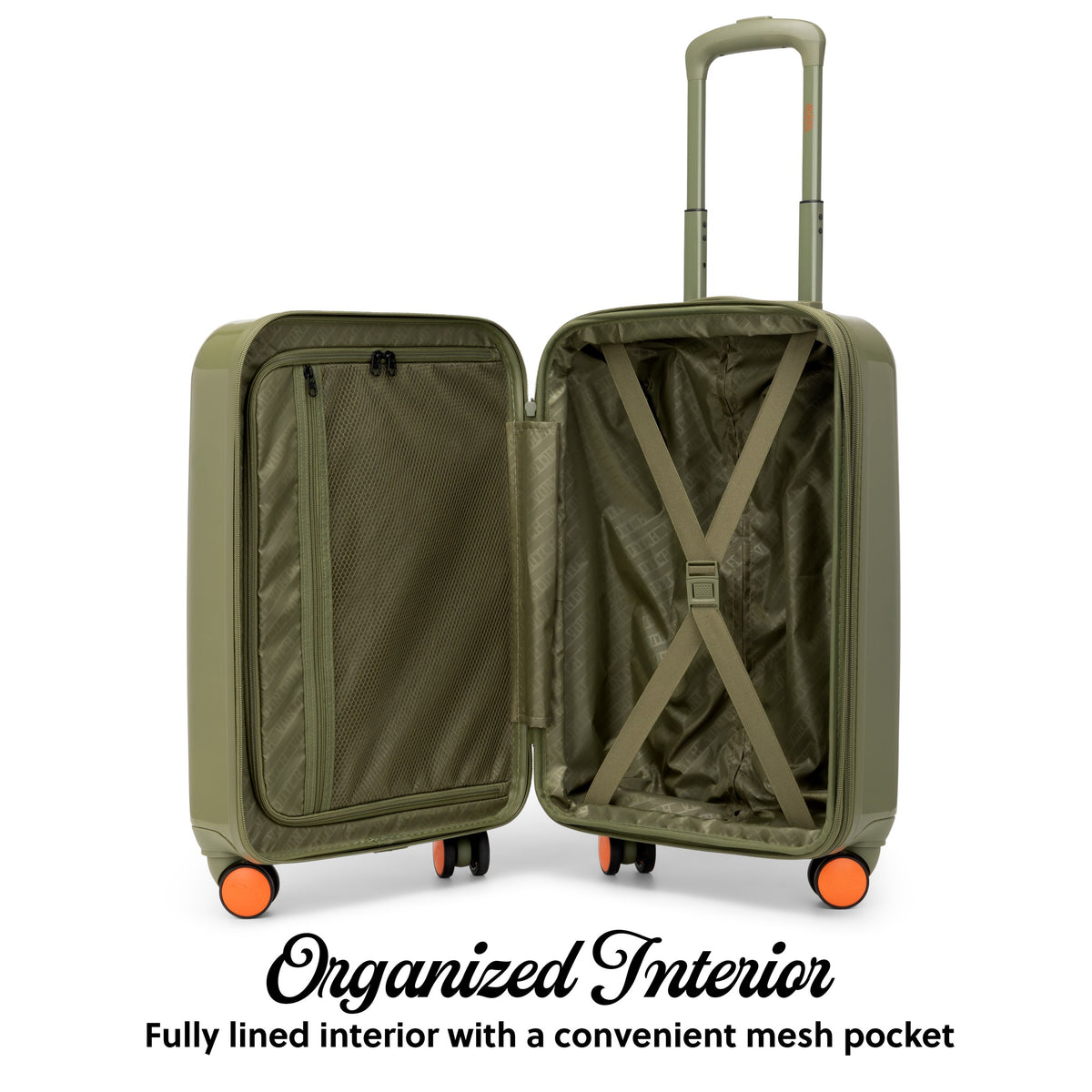 Olive Eyeflight-
