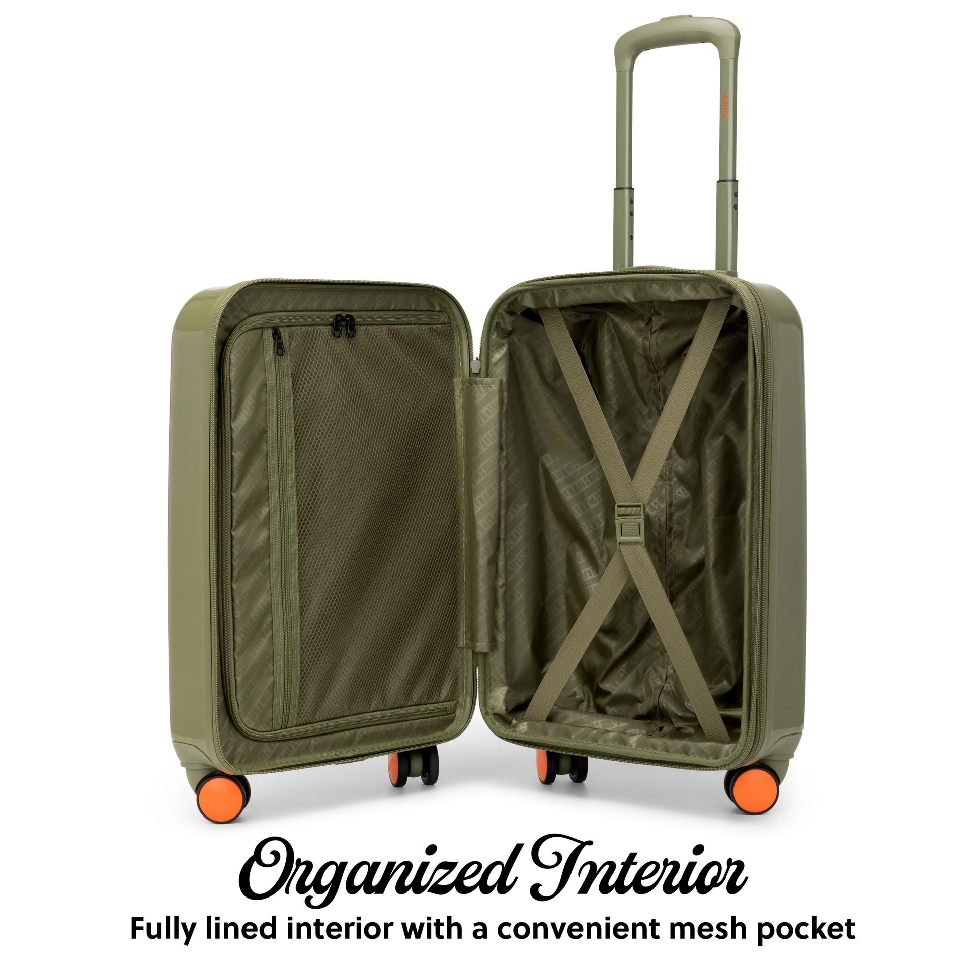Olive Eyeflight-