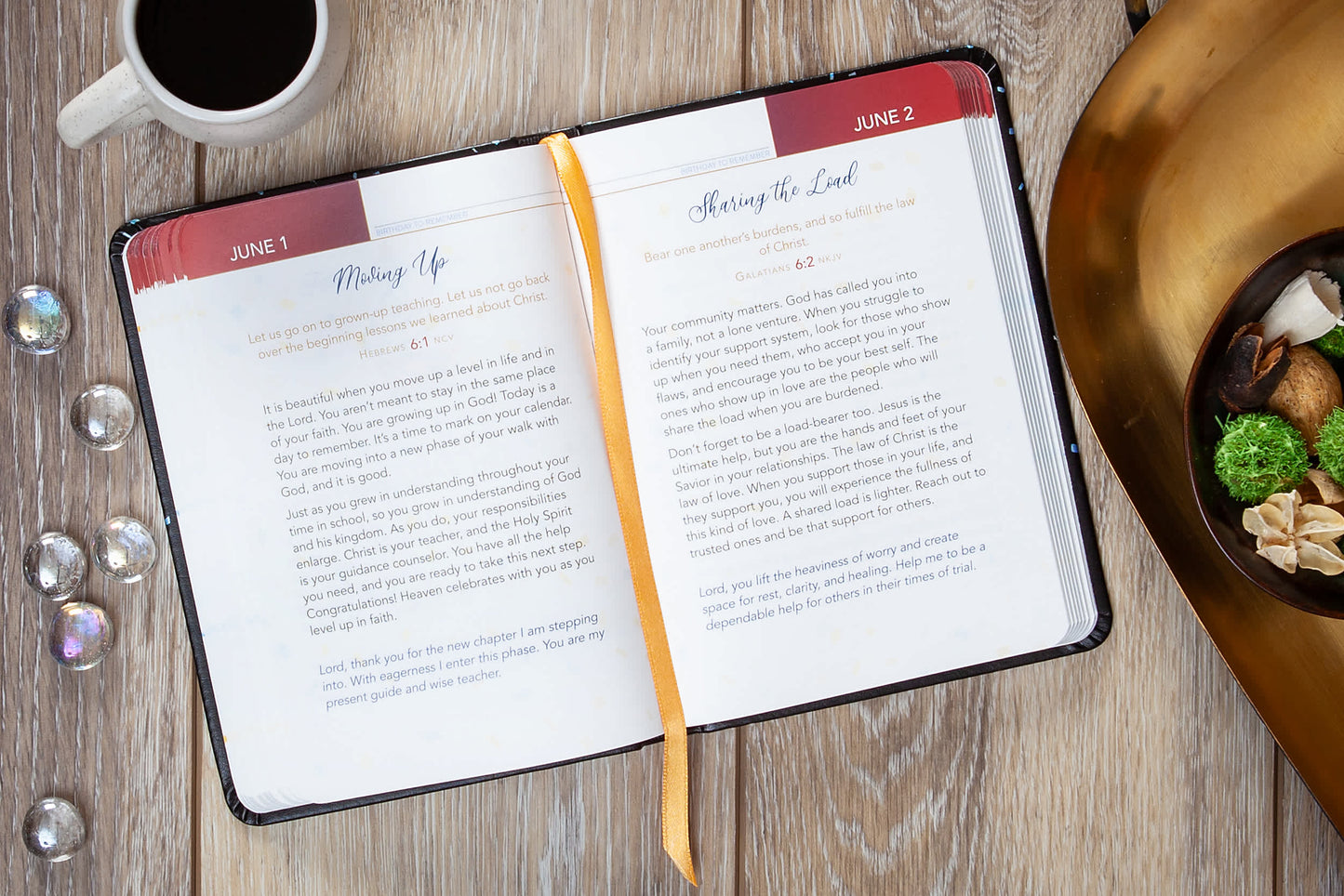 BroadStreet Publishing The Birthday Devotional -