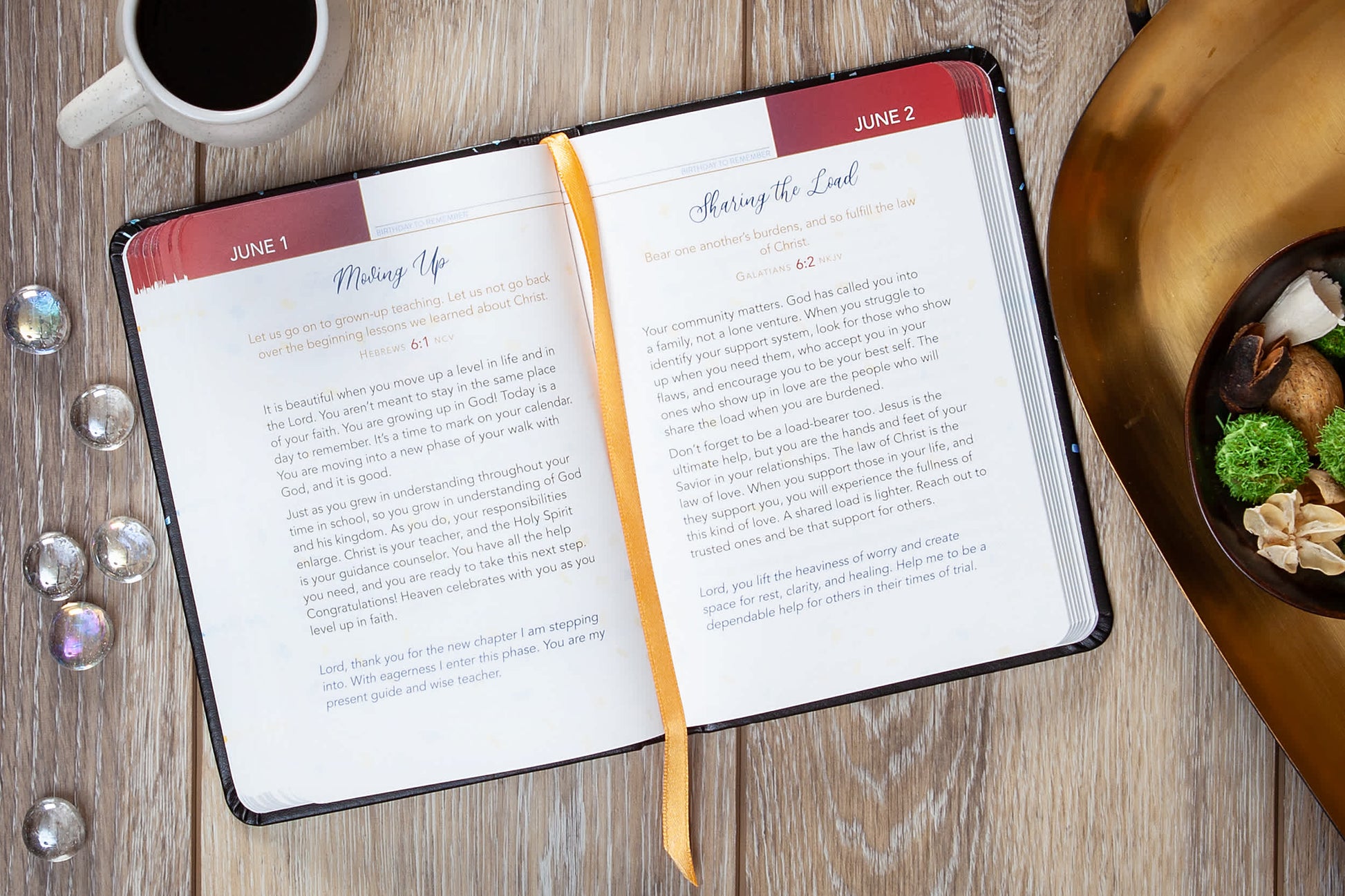 BroadStreet Publishing The Birthday Devotional -