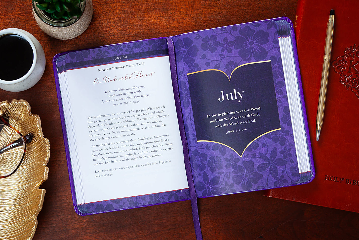 The Bible Reading Plan Devotional for Women