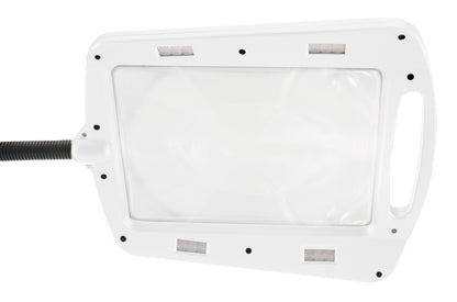White-