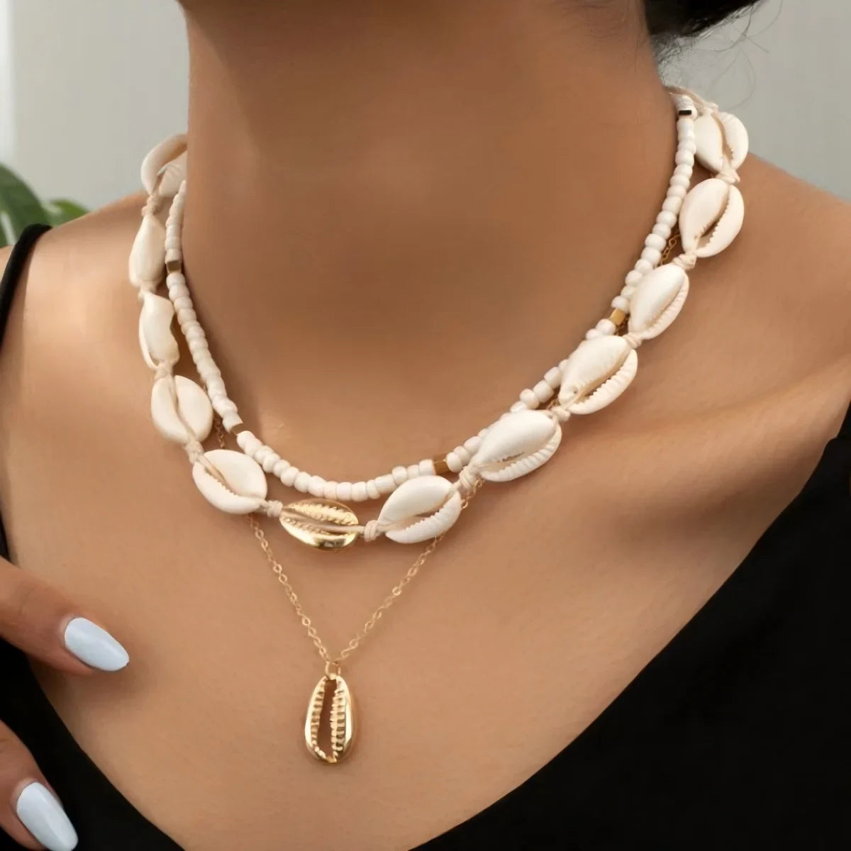 Seashell-