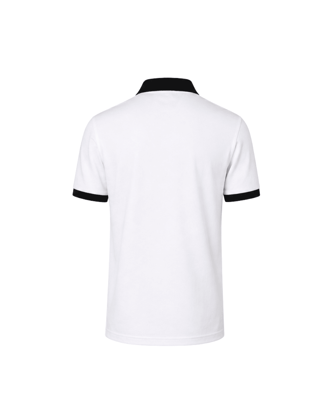 White with Black Zebra-