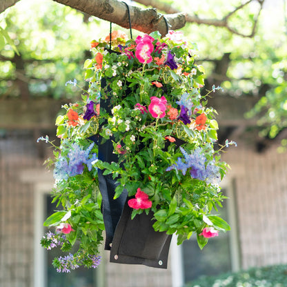 Hummingbird Flower Seed Hanging Planter Bag with Soil Block