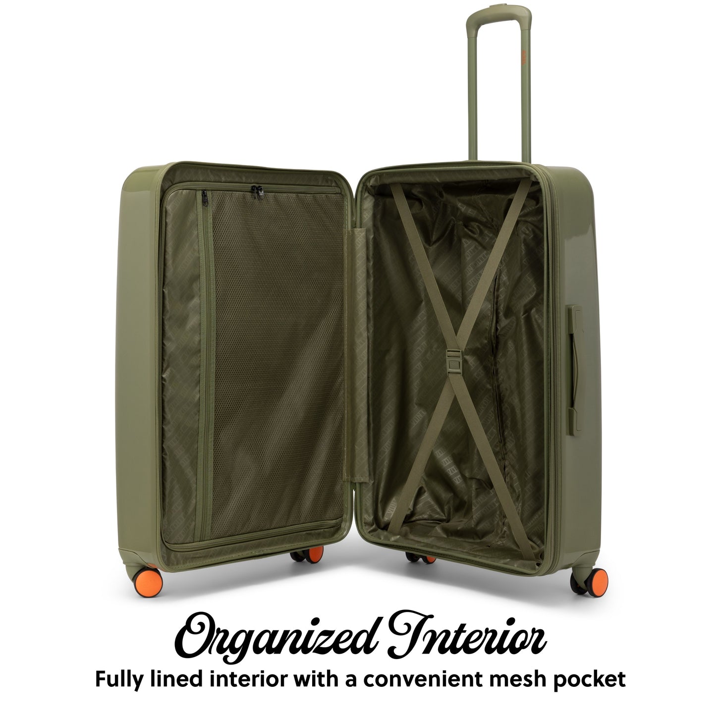 Olive Eyeflight-
