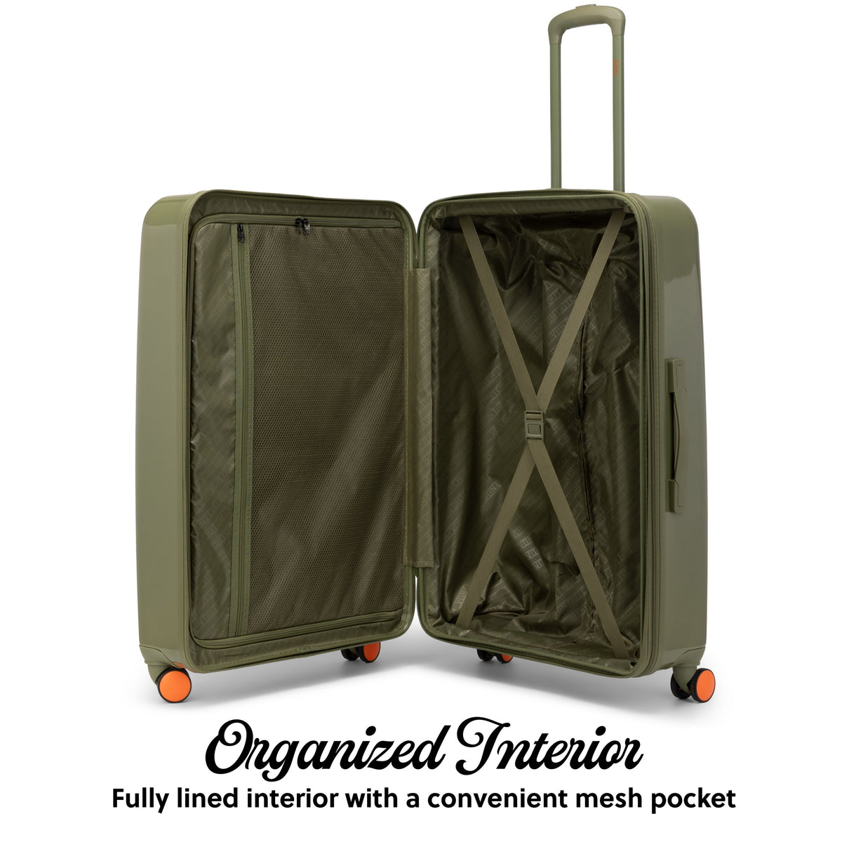 Olive Eyeflight-